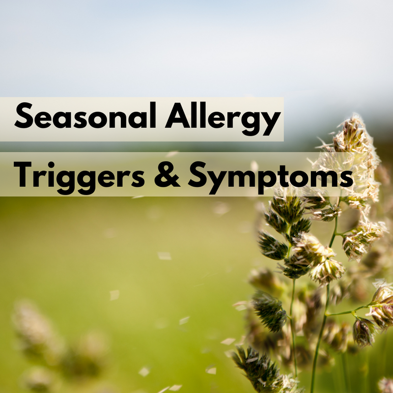 Allergies by Season & How to Treat
