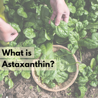 What is Astaxanthin?