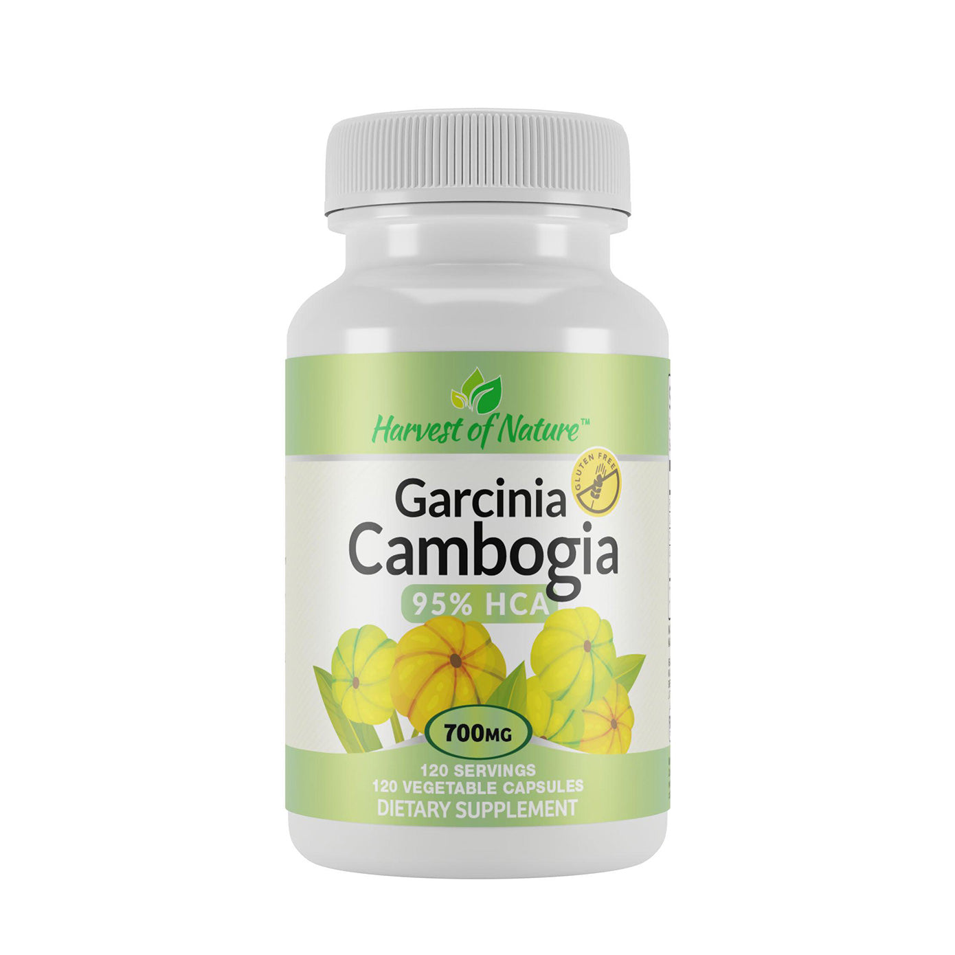 Garcinia Cambogia